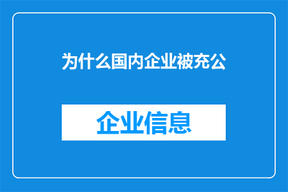 为什么国内企业被充公