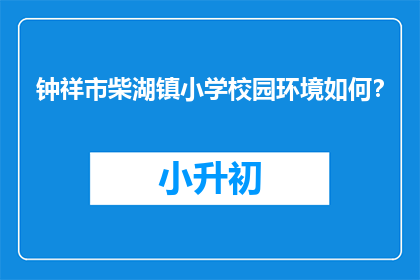 钟祥市柴湖镇小学校园环境如何？