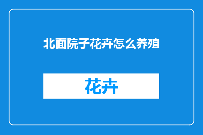 北面院子花卉怎么养殖