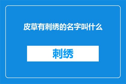 皮草有刺绣的名字叫什么