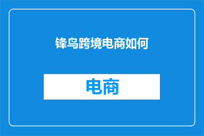 锋鸟跨境电商如何