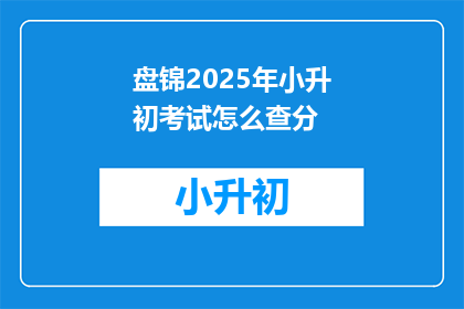 盘锦2025年小升初考试怎么查分
