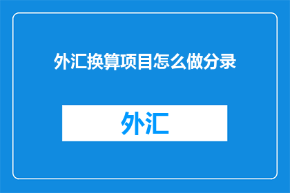 外汇换算项目怎么做分录