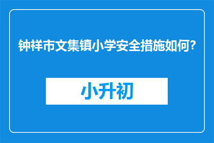 钟祥市文集镇小学安全措施如何？