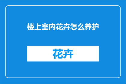 楼上室内花卉怎么养护