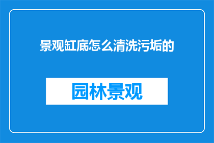 景观缸底怎么清洗污垢的
