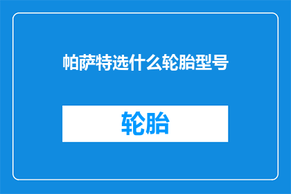 帕萨特选什么轮胎型号