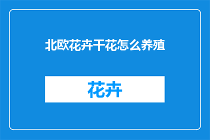 北欧花卉干花怎么养殖