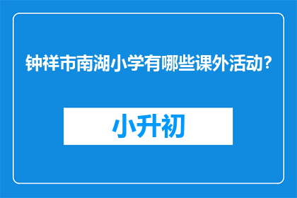 钟祥市南湖小学有哪些课外活动？