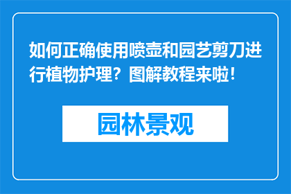 如何正确使用喷壶和园艺剪刀进行植物护理？图解教程来啦！