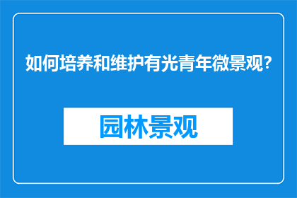 如何培养和维护有光青年微景观？