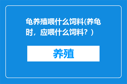 龟养殖喂什么饲料(养龟时，应喂什么饲料？)