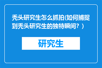 秃头研究生怎么抓拍(如何捕捉到秃头研究生的独特瞬间？)