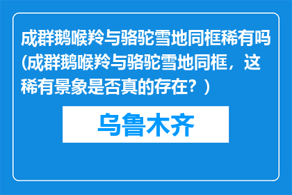 成群鹅喉羚与骆驼雪地同框稀有吗(成群鹅喉羚与骆驼雪地同框，这稀有景象是否真的存在？)