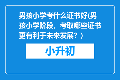 男孩小学考什么证书好(男孩小学阶段，考取哪些证书更有利于未来发展？)