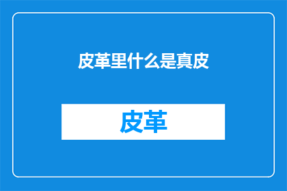 皮革里什么是真皮(真皮是什么？)