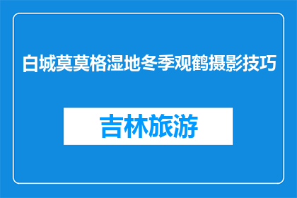 白城莫莫格湿地冬季观鹤摄影技巧(冬季白城莫莫格湿地观鹤摄影技巧，你掌握了吗？)