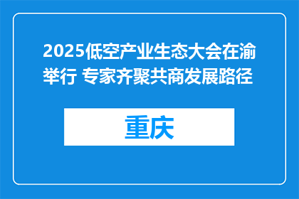 2025低空产业生态大会在渝举行 专家齐聚共商发展路径