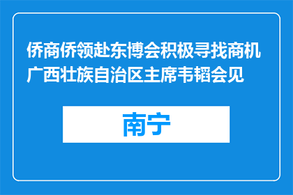 侨商侨领赴东博会积极寻找商机 广西壮族自治区主席韦韬会见