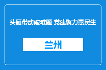 头雁带动破难题 党建聚力惠民生