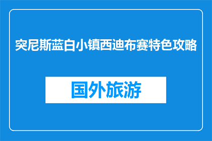 突尼斯蓝白小镇西迪布赛特色攻略(探秘突尼斯西迪布赛小镇：特色攻略大揭秘)