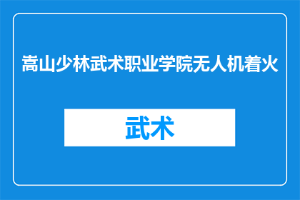 嵩山少林武术职业学院无人机着火(嵩山少林武术职业学院无人机发生火灾，情况如何？)