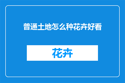 普通土地怎么种花卉好看