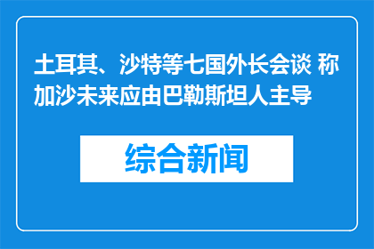 土耳其、沙特等七国外长会谈 称加沙未来应由巴勒斯坦人主导