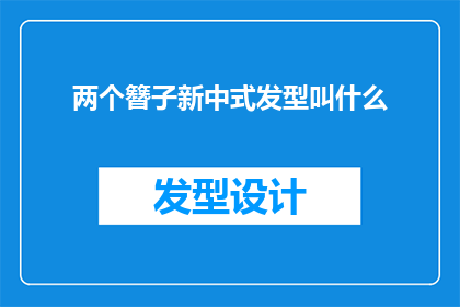 两个簪子新中式发型叫什么(新中式发型中，两个簪子的造型叫什么？)