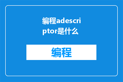 编程adescriptor是什么(什么是编程中的adescriptor)