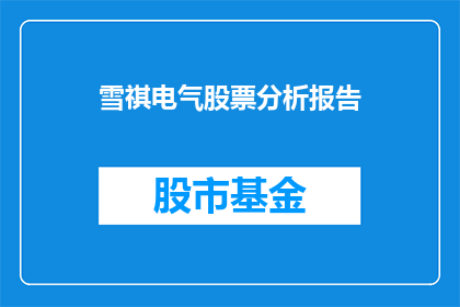 雪祺电气股票分析报告(雪祺电气股票表现如何？投资者应关注哪些关键指标？)
