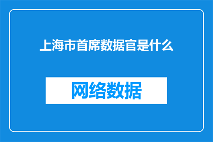 上海市首席数据官是什么(上海市首席数据官的职责是什么？)