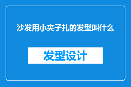 沙发用小夹子扎的发型叫什么(沙发用小夹子扎的发型叫什么？这个问题似乎在询问一种特定的发型，这种发型可能因其独特的外观和制作方式而引起人们的好奇然而，由于缺乏具体的描述和上下文信息，很难给出一个确切的答案)