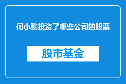 何小鹏投资了哪些公司的股票(何小鹏投资了哪些公司的股票？)