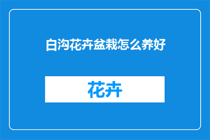 白沟花卉盆栽怎么养好(如何养护白沟花卉盆栽以保持其生机盎然？)