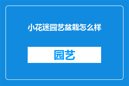 小花迷园艺盆栽怎么样(小花迷园艺盆栽：你值得拥有的绿意生活之选吗？)