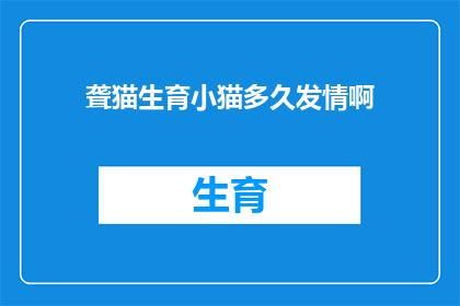 聋猫生育小猫多久发情啊