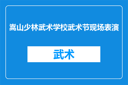 嵩山少林武术学校武术节现场表演(嵩山少林武术学校武术节现场表演，是否吸引了众多武术爱好者的目光？)