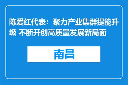 陈爱红代表：聚力产业集群提能升级 不断开创高质量发展新局面