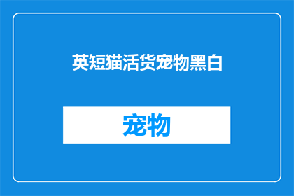 英短猫活货宠物黑白(英短猫活货宠物黑白：您是否准备好迎接一只活泼可爱的黑白猫咪？)