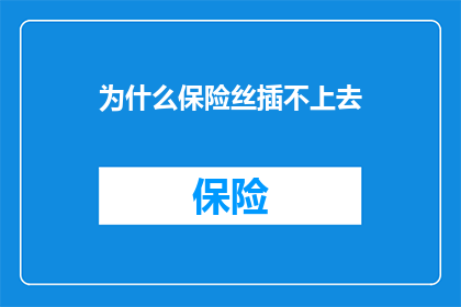 为什么保险丝插不上去(为何保险丝无法插入？)