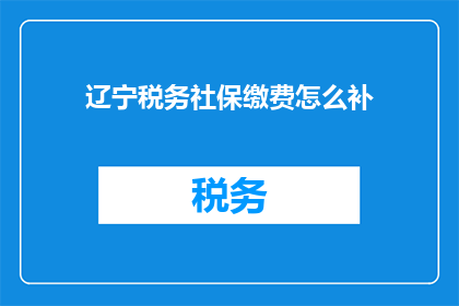 辽宁税务社保缴费怎么补(辽宁地区税务与社保缴费的补缴流程是什么？)
