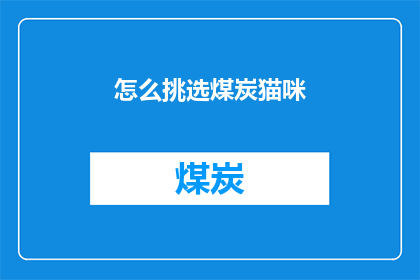 怎么挑选煤炭猫咪(如何挑选出最合适的煤炭猫咪？)