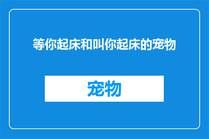 等你起床和叫你起床的宠物(你期待的早晨，是否由你的宠物用它的方式唤醒？)