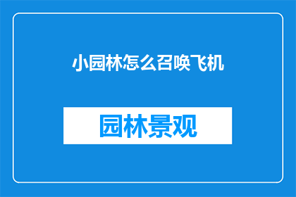 小园林怎么召唤飞机(如何召唤小园林中的飞机？)