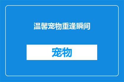 温馨宠物重逢瞬间(温馨宠物重逢瞬间：我们能期待的奇迹吗？)