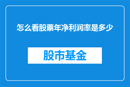 怎么看股票年净利润率是多少(如何解析并理解股票的年净利润率？)