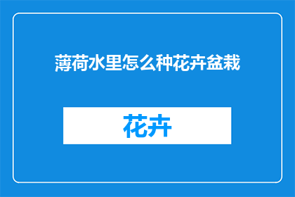 薄荷水里怎么种花卉盆栽(如何将薄荷水引入花卉盆栽的养护之中？)