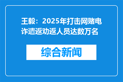 王毅：2025年打击网赌电诈遣返劝返人员达数万名